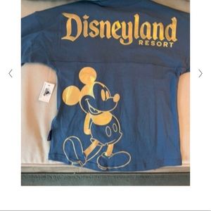 Disney spirit jersey